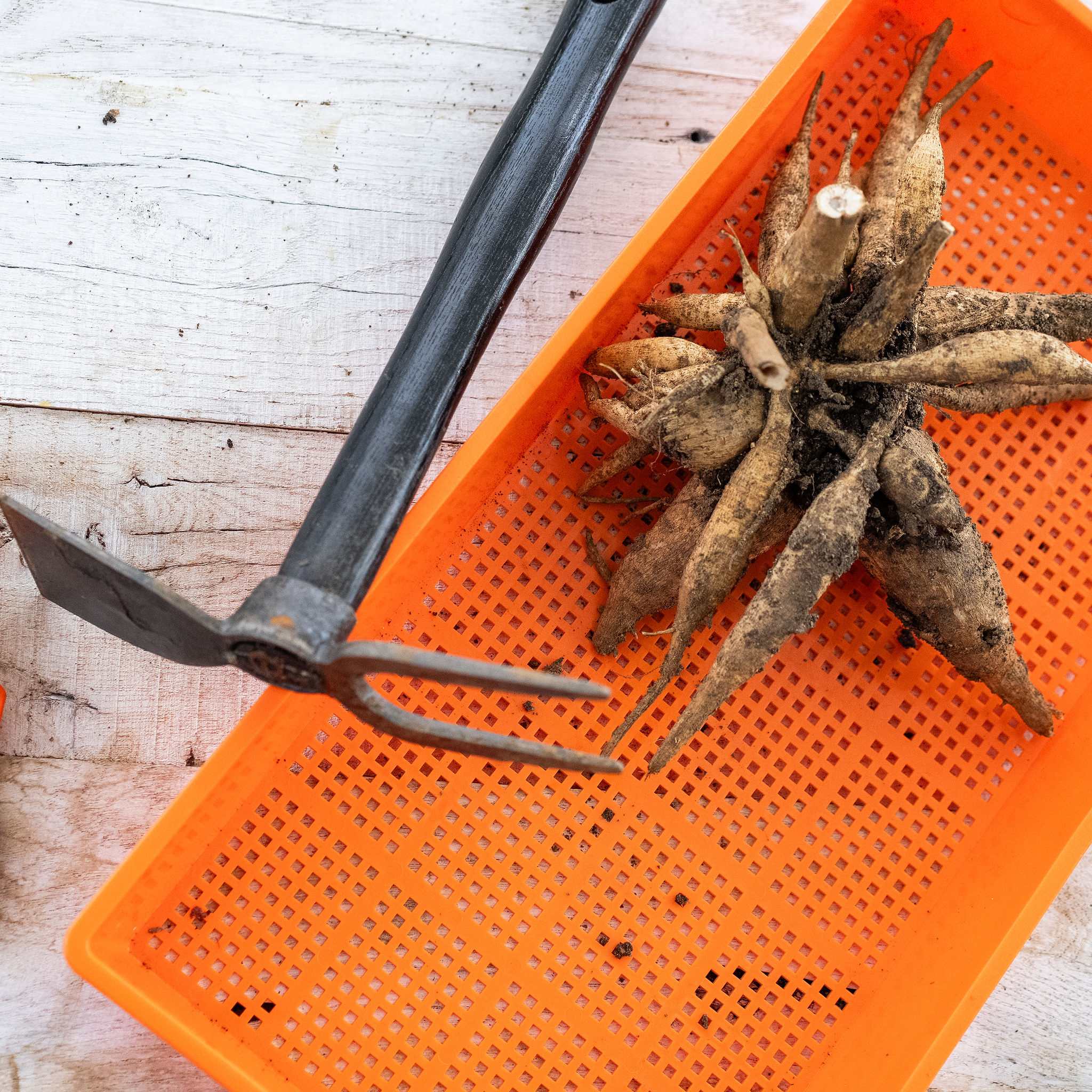 bootstrap-farmer-small-hand-dual-function-garden-hoe-with-fork image 2
