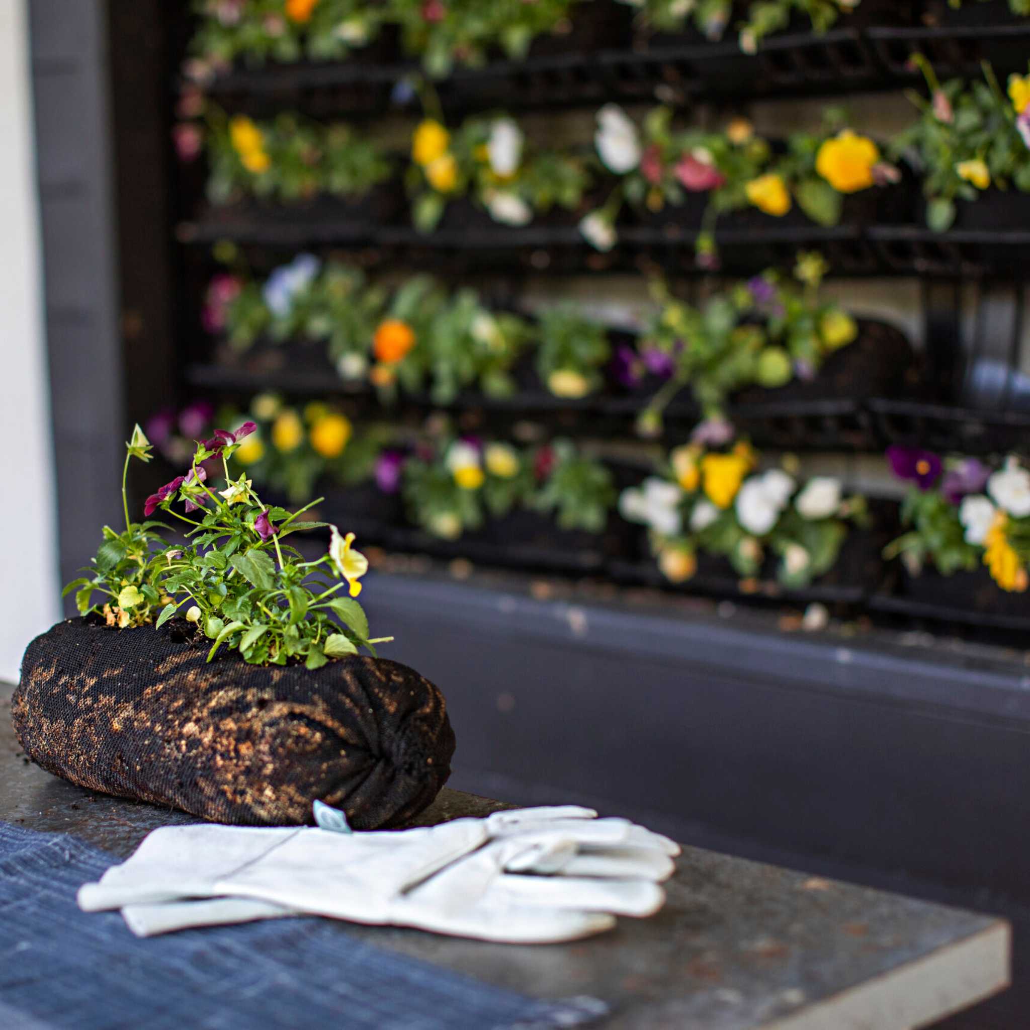bootstrap-farmer-varden-soil-filled-vardensok-ready-to-plant-sleeves-for-vertica image 2