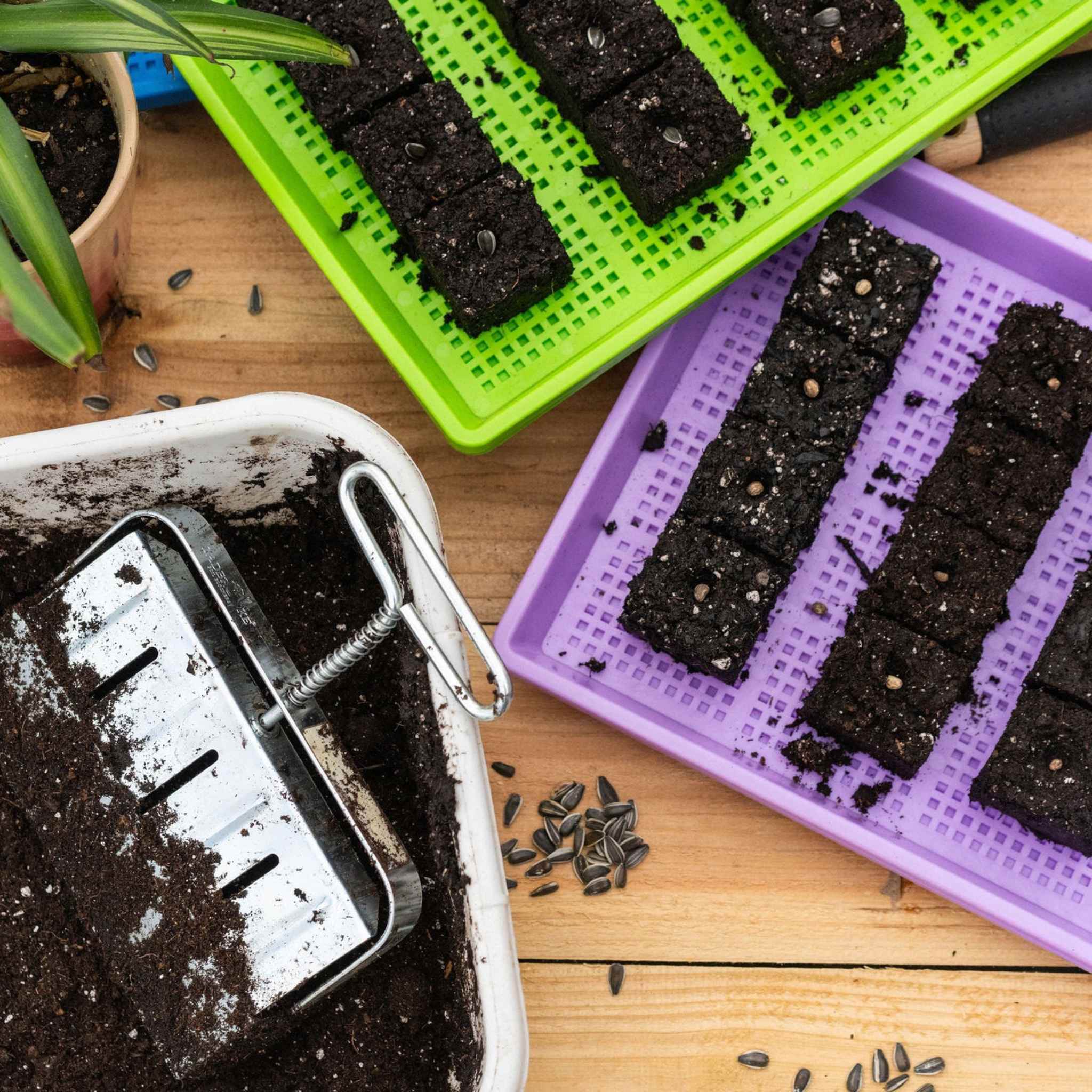 bootstrap-farmer-ladbrooke-2-mini-soil-blocker-4-blocks-for-seed-propagation image 4