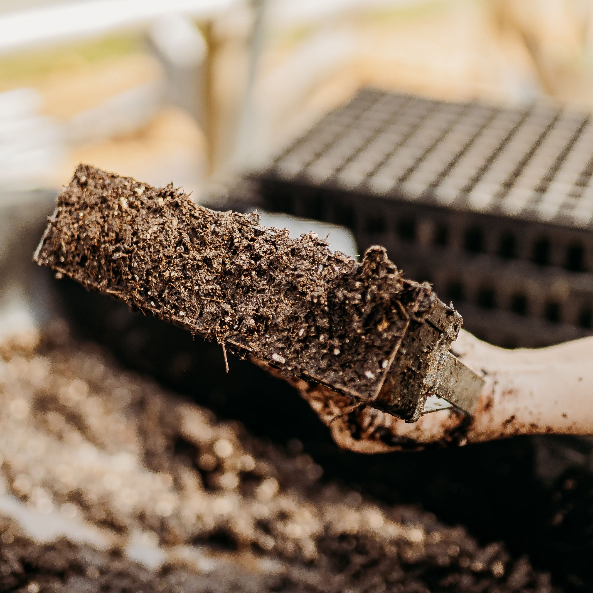 bootstrap-farmer-ladbrooke-2-mini-soil-blocker-4-blocks-for-seed-propagation image 5