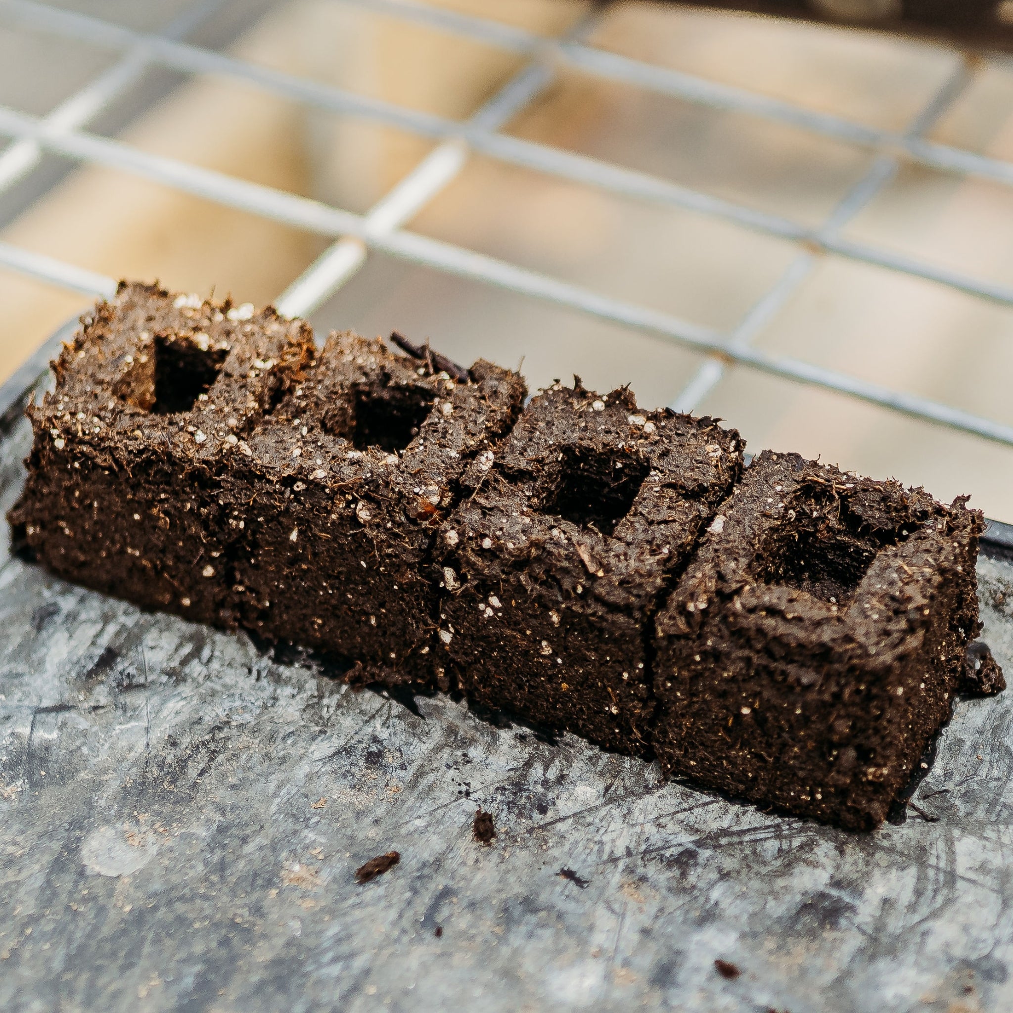 bootstrap-farmer-ladbrooke-soil-blocker-insert-pins-3-4-cubic-pins-set-of-4 image 3