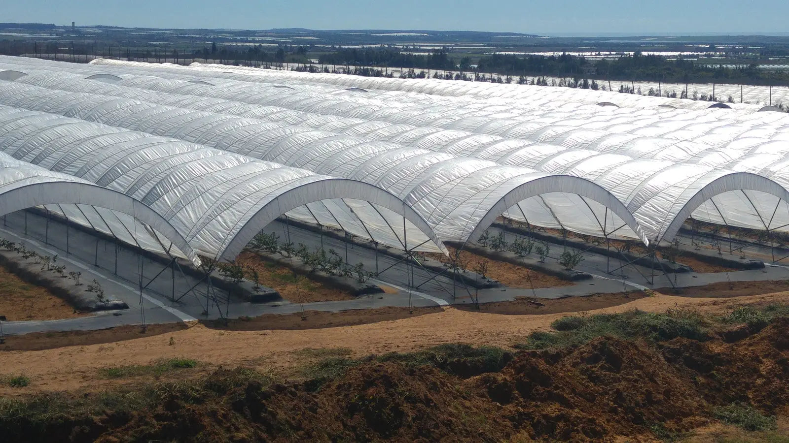 bootstrap-farmer-solarig-156-greenhouse-woven-plastic-8-mil image 7