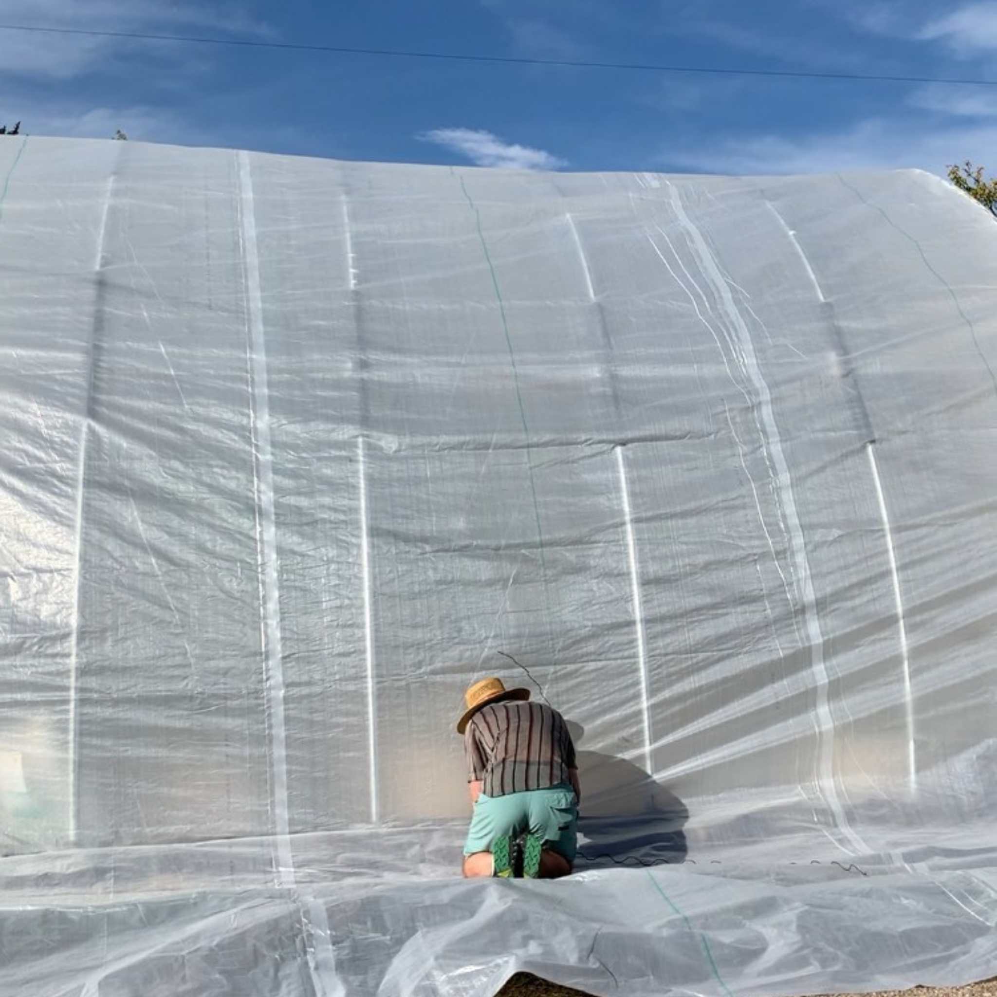bootstrap-farmer-solarig-156-greenhouse-woven-plastic-8-mil image 2