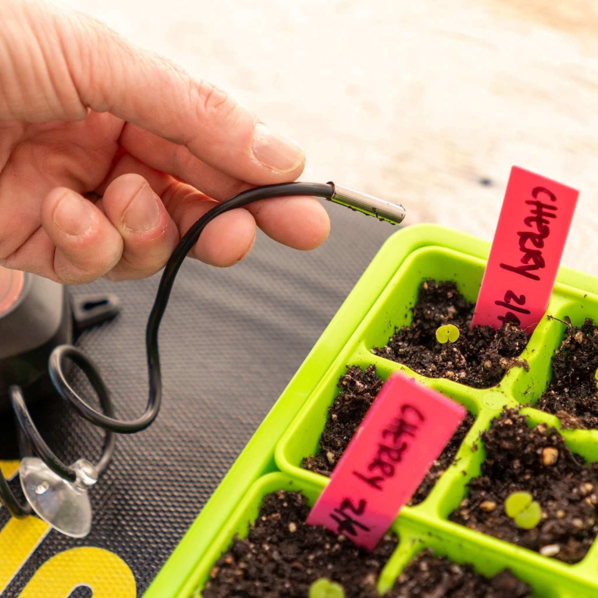bootstrap-farmer-seedling-heat-mat-temperature-controller-digital-thermostat-for image 7