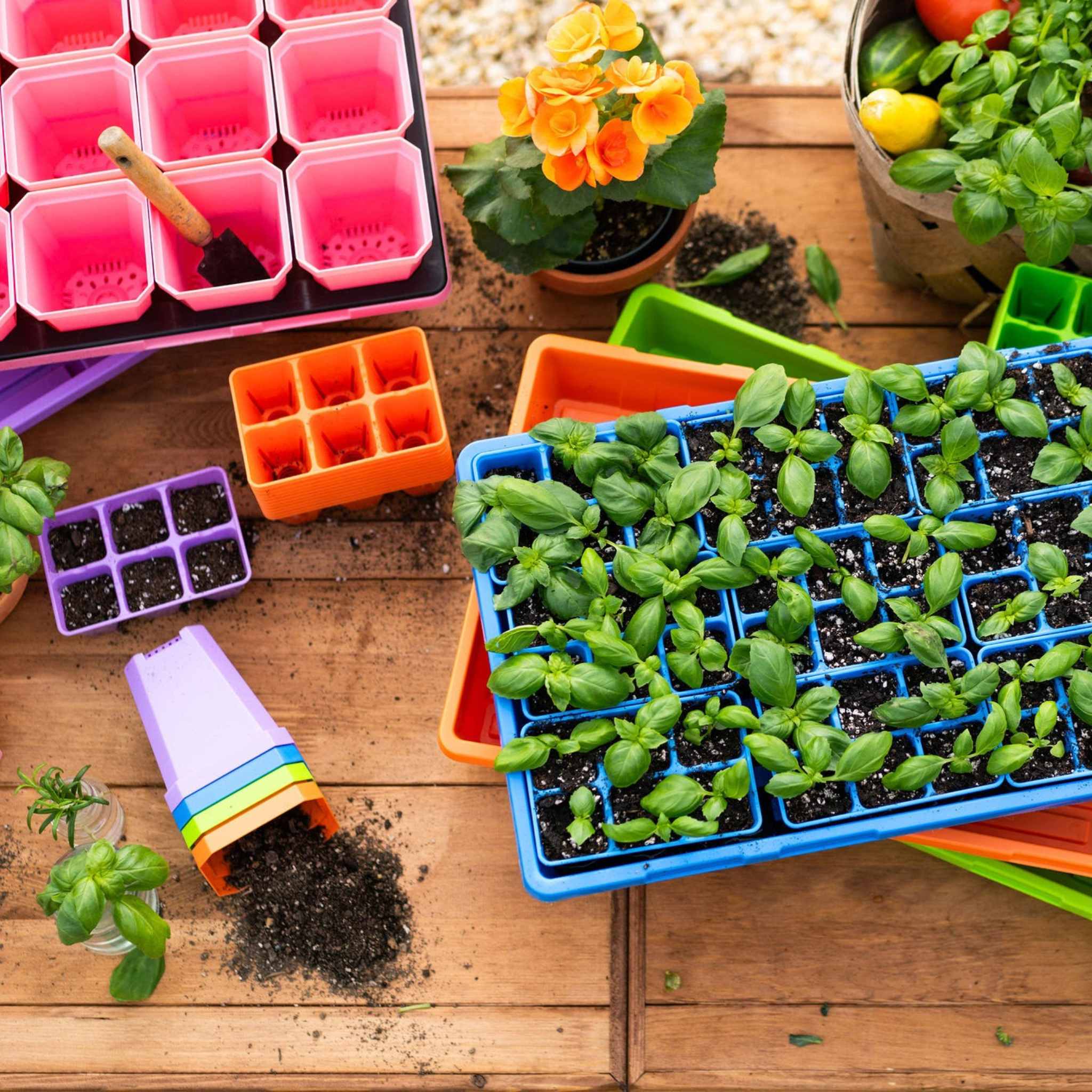 bootstrap-farmer-ultimate-backyard-gardener-bundle-complete-seed-starting-kit-60 image 8