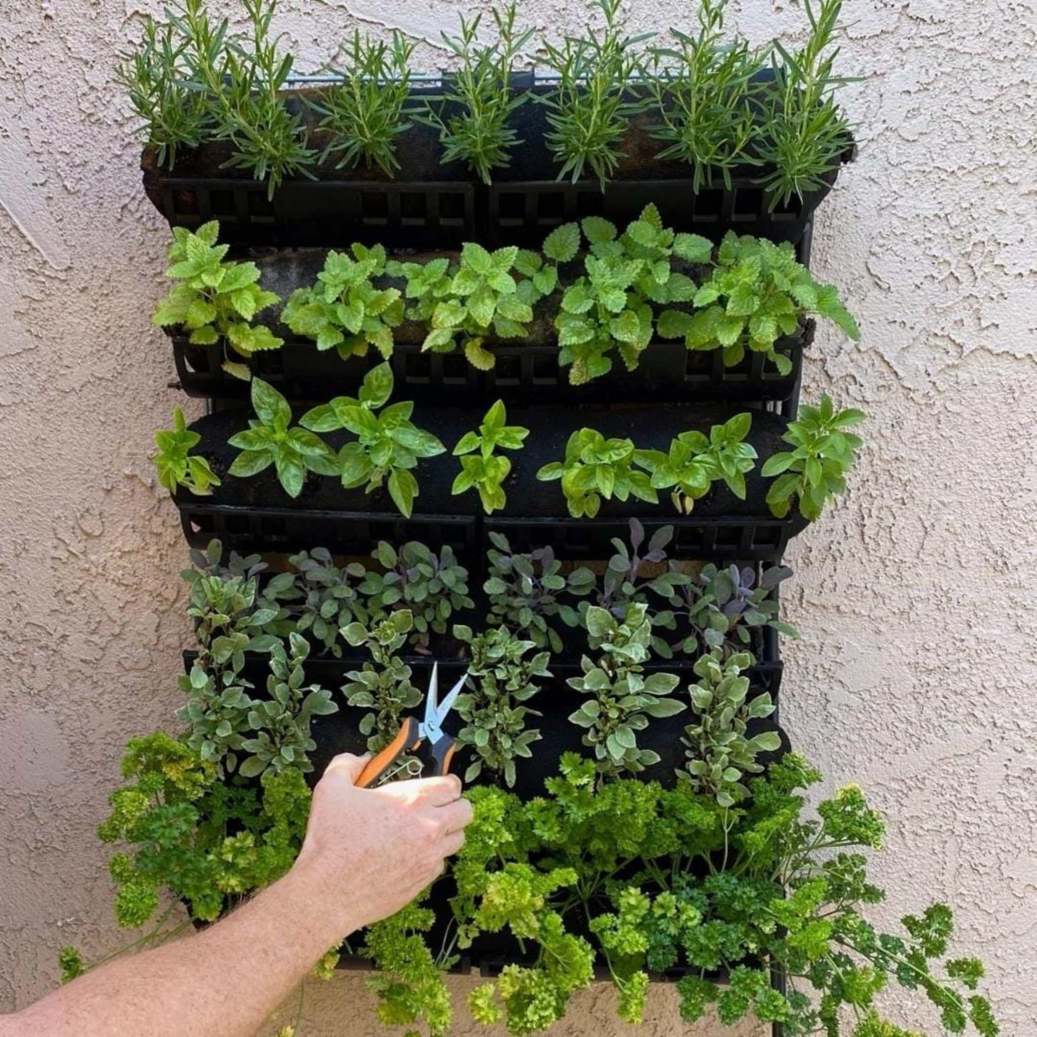 bootstrap-farmer-varden-kitchen-garden-vertical-garden-kit image 5