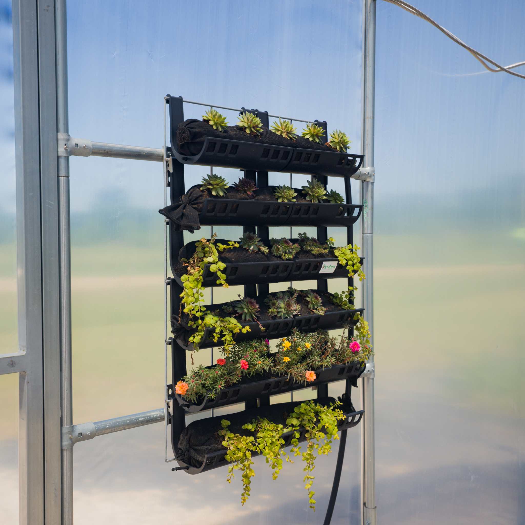 bootstrap-farmer-varden-kitchen-garden-vertical-garden-kit image 2