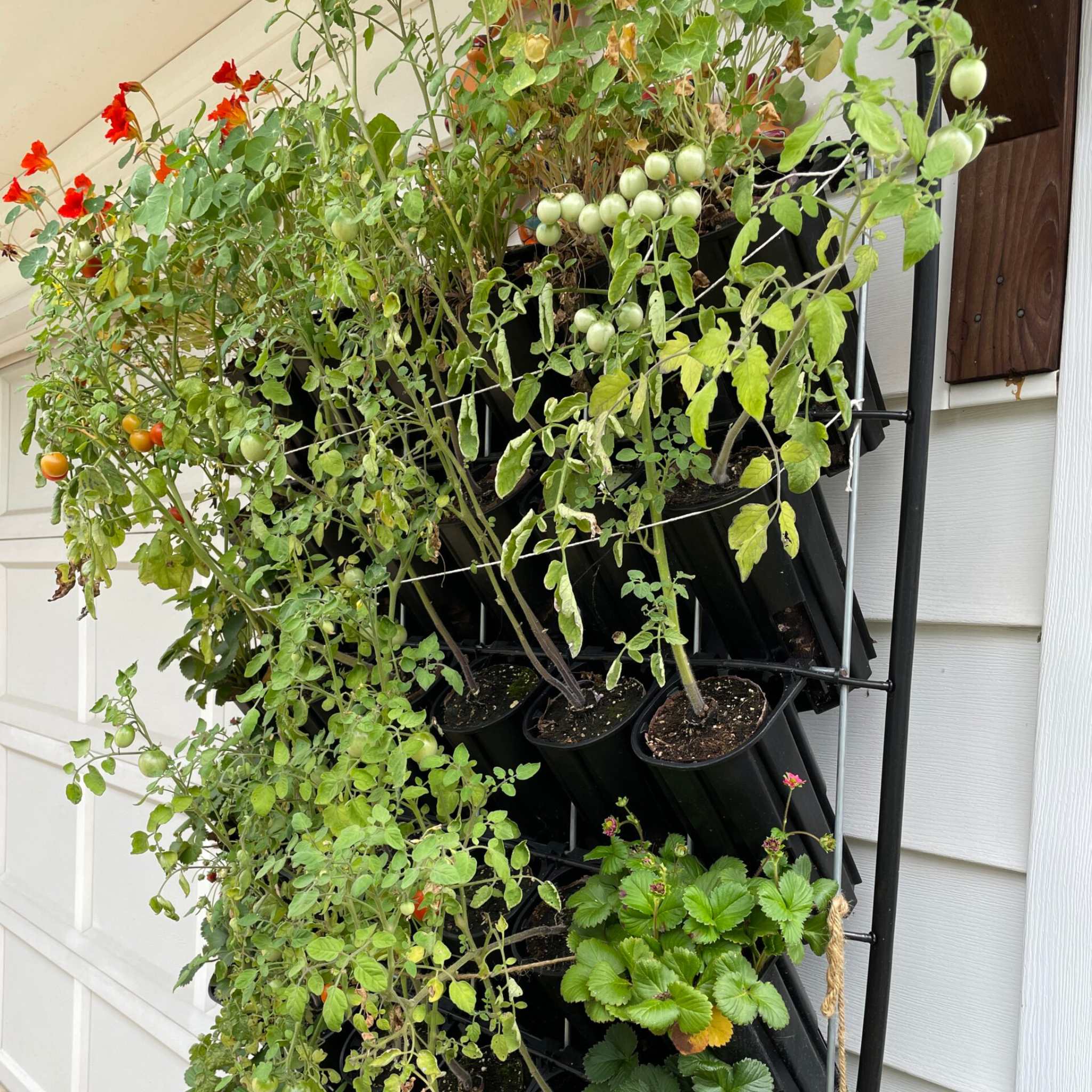 bootstrap-farmer-varden-sleeve-deep-vertical-garden-sleeve image 7