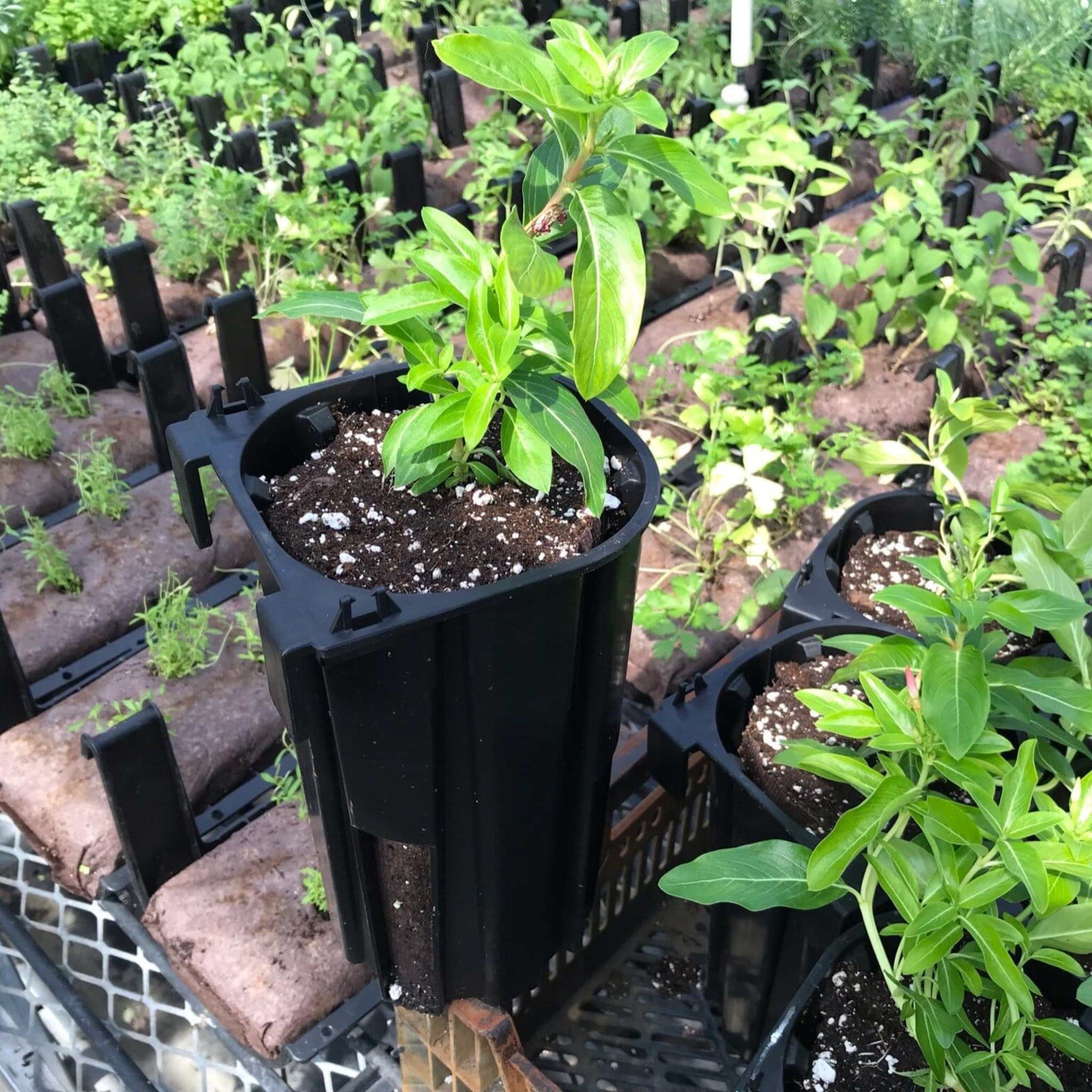 bootstrap-farmer-varden-sleeve-deep-vertical-garden-sleeve image 8