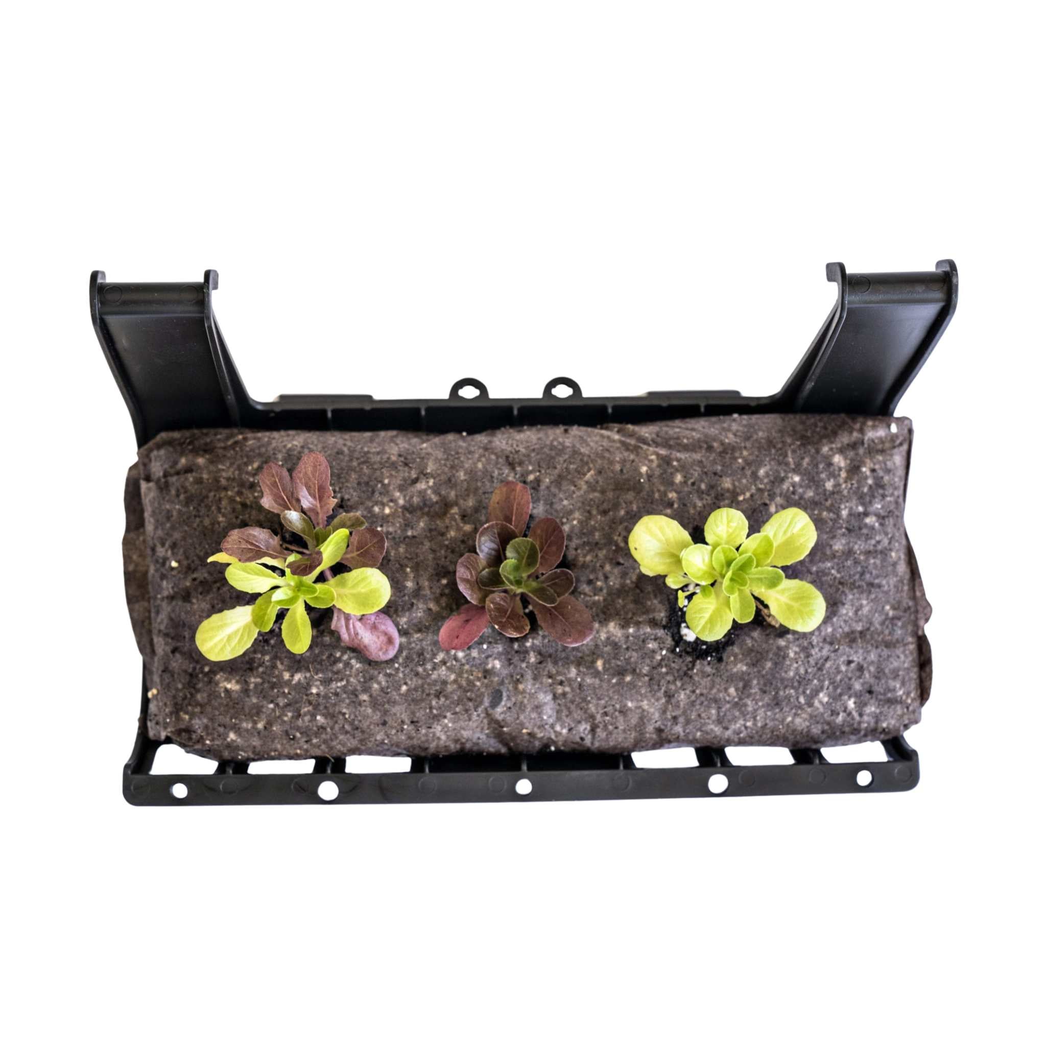 bootstrap-farmer-varden-trays-for-vertical-growing-systems image 4