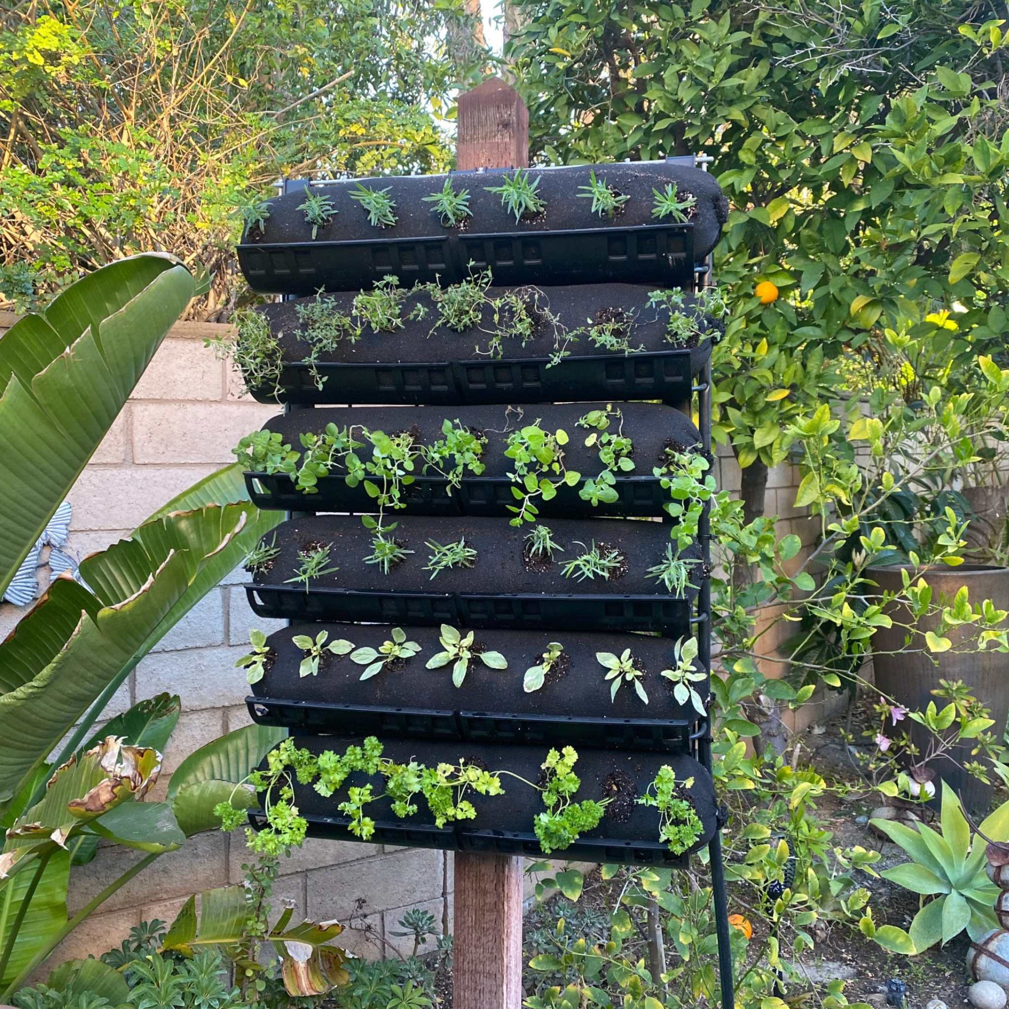 bootstrap-farmer-varden-trays-for-vertical-growing-systems image 6