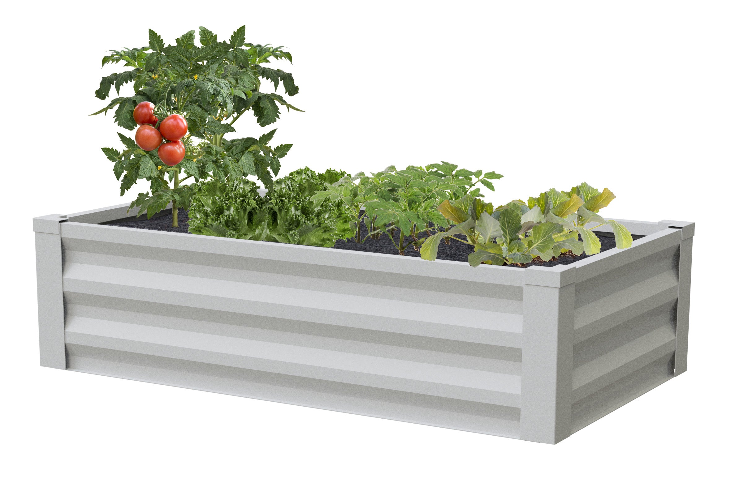 greenes-fence-repackaged-powder-coated-metal-raised-garden-bed-48-in-x-24-in-x-1 image 5